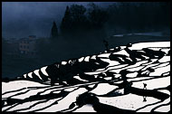 Walking Through Rice Fields, Yuanyang, China