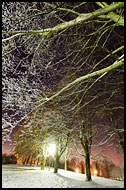Winter Knocking, Best Of 2012, Norway