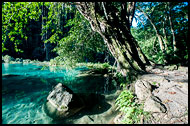 Semuc Champey Limestone Pools, Best Of, Guatemala