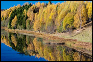 Nitelva In Autumn, Best Of 2013, Norway