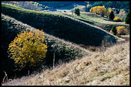 Autumn In Nittedal, Best Of 2013, Norway