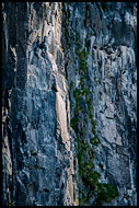 Bird Cliff, Svalbard, Norway