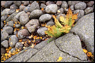 Fall Is Comming, Best of 2001, Norway