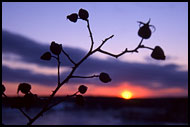 Sunset With Hips, Best of 2001, Norway