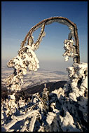 Scenery Of Pustevny, Radhošť, Czech republic