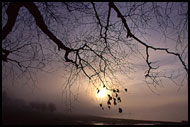 Foggy Day, Best of 2001, Norway