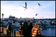 Charles Bridge, Prague, Czech republic