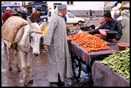 Shopping In Souq, Meknes, Best Of Marocco, Marocco