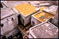 Tannery, Fès, Best Of Marocco, Marocco