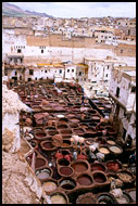 Tannery, Fès, Best Of Marocco, Marocco