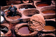 Tannery, Fès, Best Of Marocco, Marocco