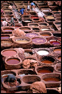 Tannery, Fès, Best Of Marocco, Marocco