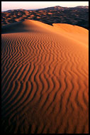 Sunrise At Erg Chebbi, Best Of Marocco, Marocco